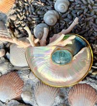 Nautilus Brooch with Kunzite Cabochon