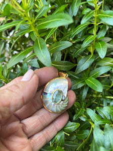 Nautilus Heart Pendant with Sugar Aquamarine