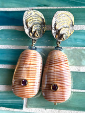 Brown Conus Drop Earrings with Sapphire