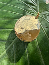 Cockle Shell Pendant set with Gemstone Cabochons