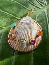 Cockle Shell Pendant set with Gemstone Cabochons