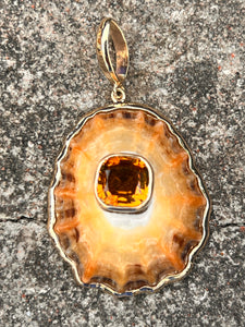 14-karat Lorelei Limpet Charm set with Citrine