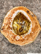 Large African Limpet Brooch with Carved Citrine