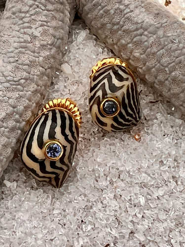 Nerite Shell Earrings with Silver-blue Sapphires