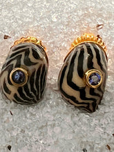 Nerite Shell Earrings with Silver-blue Sapphires