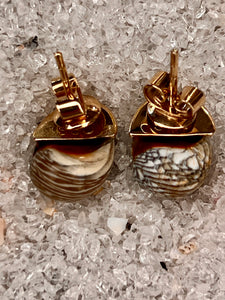 14-Karat Nerite Earrings with Diamonds