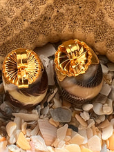 Nerite Shell Earrings with Sapphires