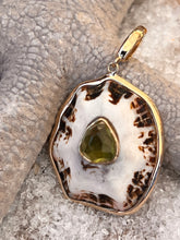 14-karat Lorelei Limpet Charm with Peridot