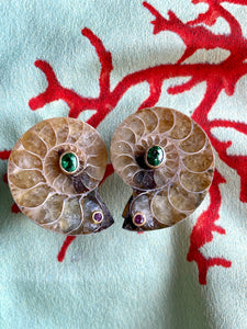 Fossil Ammonite Earrings with Sapphires