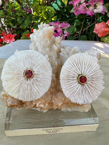 Pair of Sea Mushroom Earrings with Spessartine Garnets