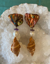 Cymbatium Shell Earrings