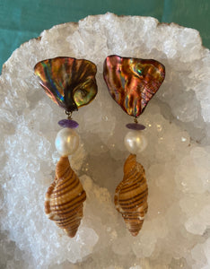Cymbatium Shell Earrings