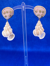 14kt. Wentletrap and Scallop Shell Drop Earrings