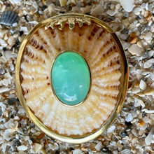 Yellow Limpet with Cabochon