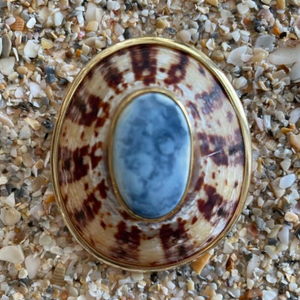 Limpet Brooch/Pendant with Blue Agate