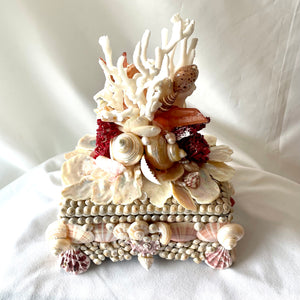 Exquisite Shell, Coral-Encrusted Box
