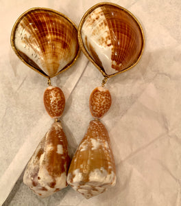 Cockle, Cone and Cyprea Shell Vermeil Earrings