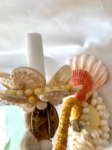 Pair Pastel Seashell Single-Light Sconces
