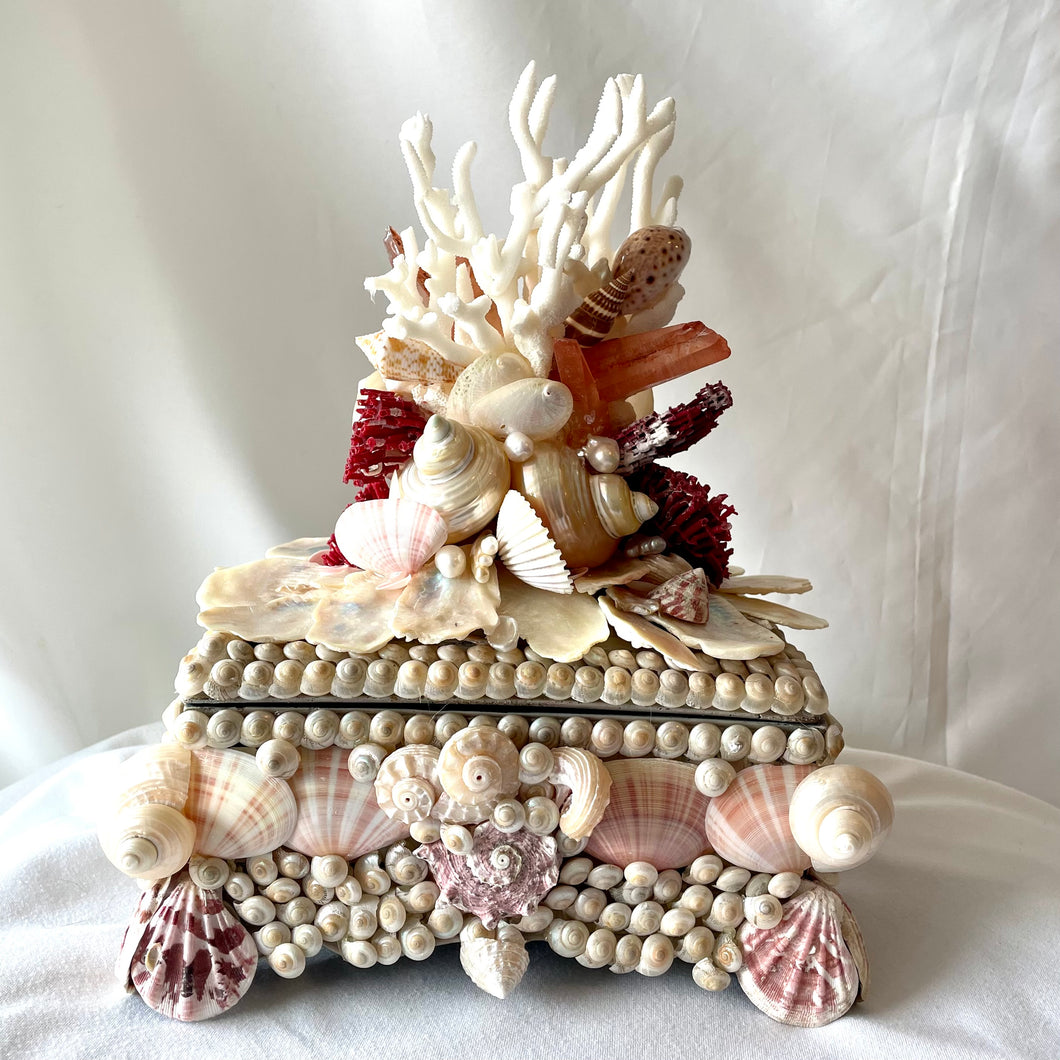 Exquisite Shell, Coral-Encrusted Box